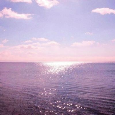 半岛综合体育·官方网站